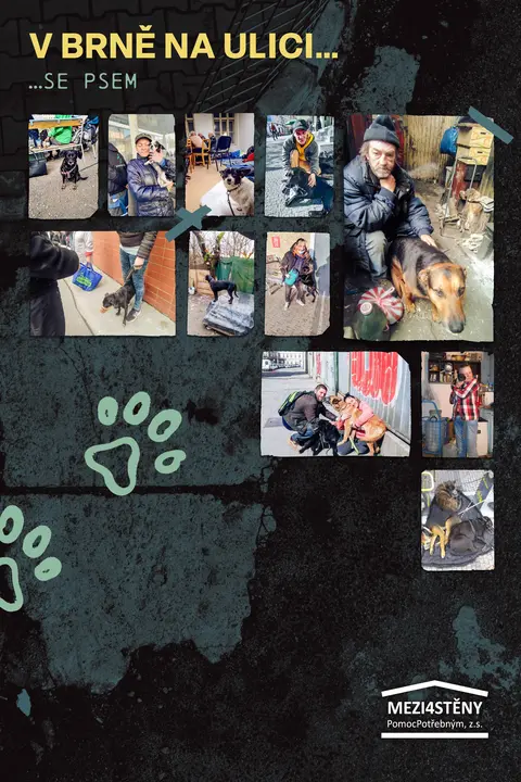 V Brně na ulici — …se psem